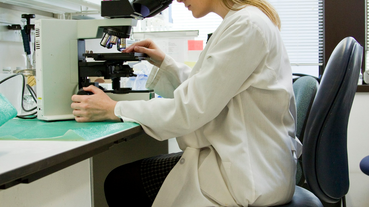 Scientist in a white lab coat looking through a microscope in a laboratory