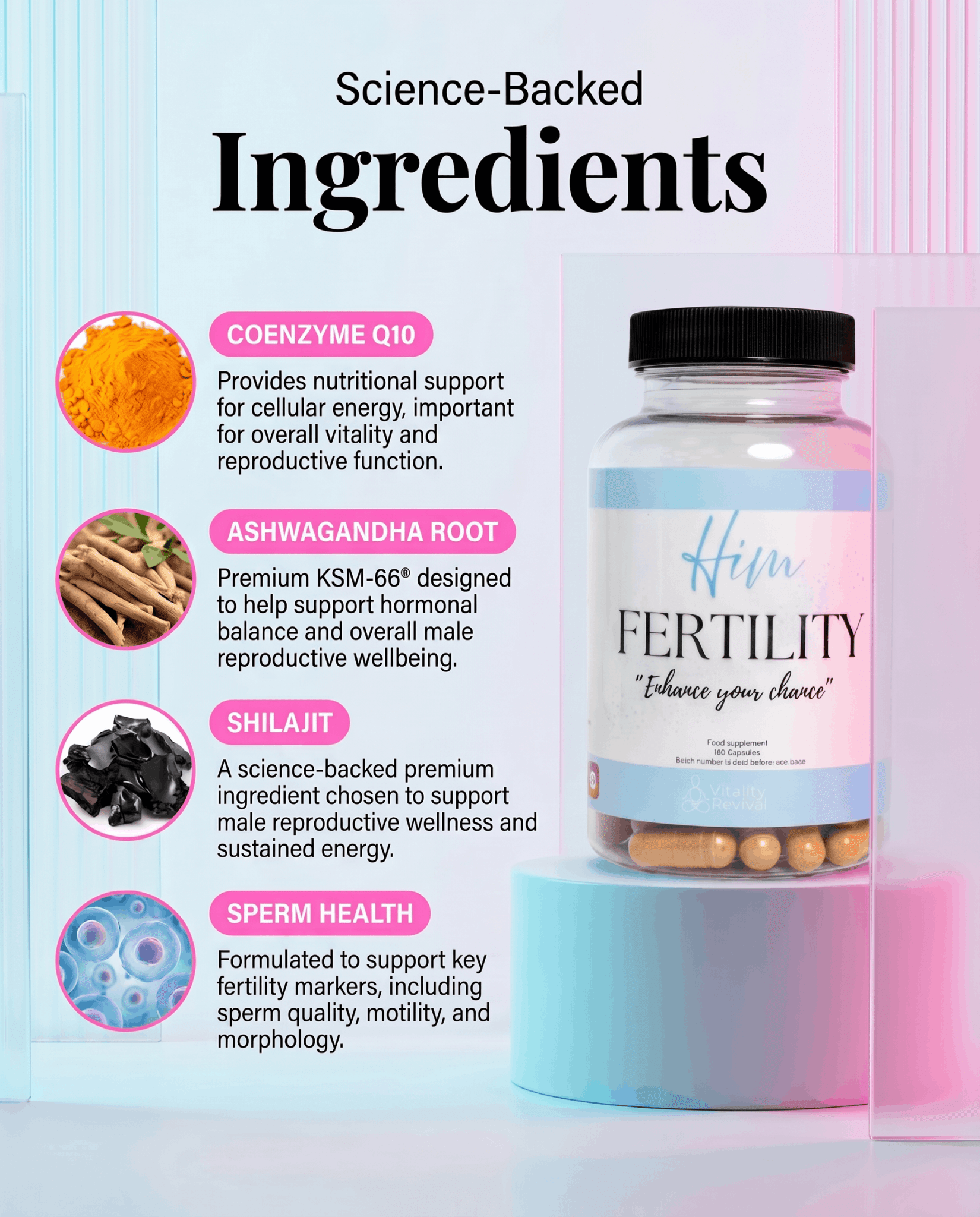 HIM FERTILITY - 4 listed ingredients Wellness Supplement supplement for - VitalityRevival UK