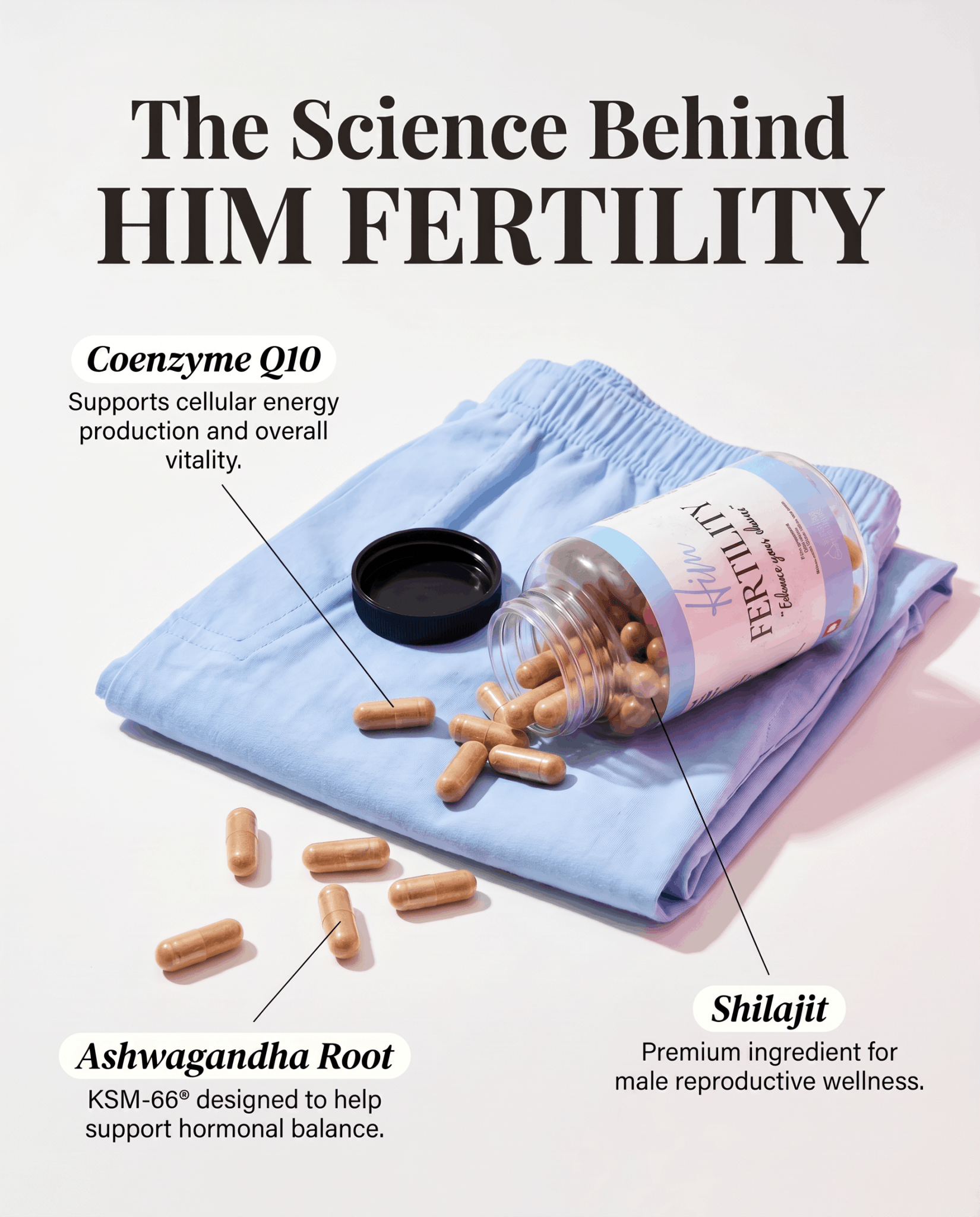 HIM FERTILITY - the science behind it Wellness Supplement supplement for - VitalityRevival UK