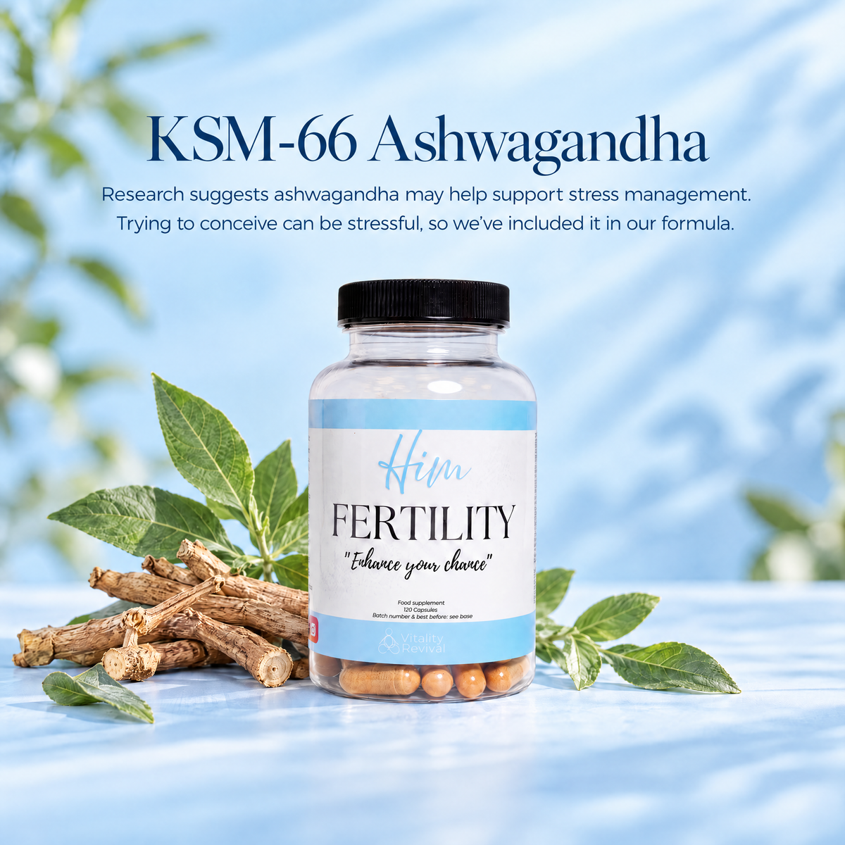 HIM FERTILITY tub with KSM-66 ashwagandha roots and leaves on a light blue background